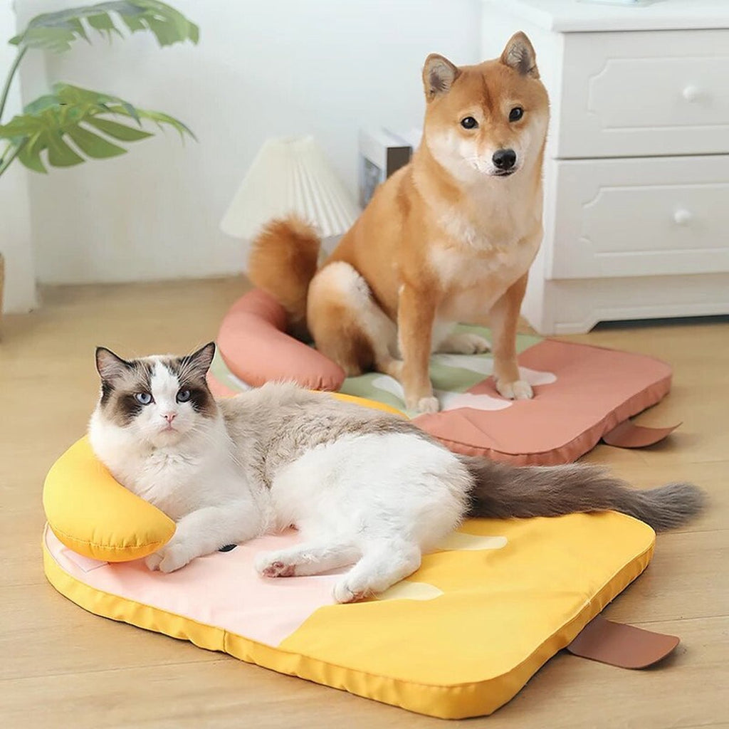 Kimpets - Koelbed in Ijsjesvorm