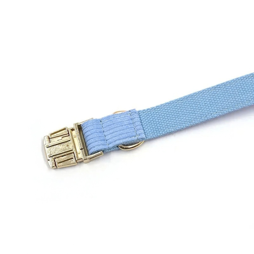 Blauwe Corduroy Set met Strik, Halsband & Riem - DreamPawz