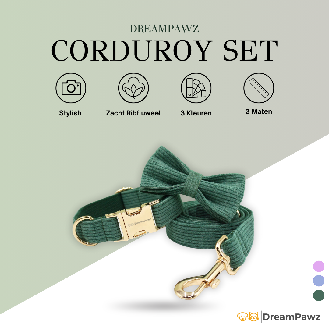 Corduroy Set met Strik, Halsband & Riem