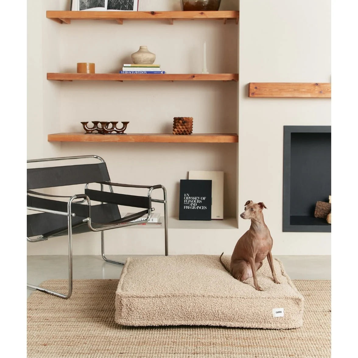 Sfeerbeeld hondenkussen met teddyvacht