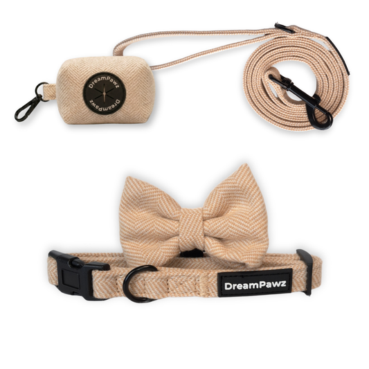 4-delige visgraatset met halsband in beige kleur
