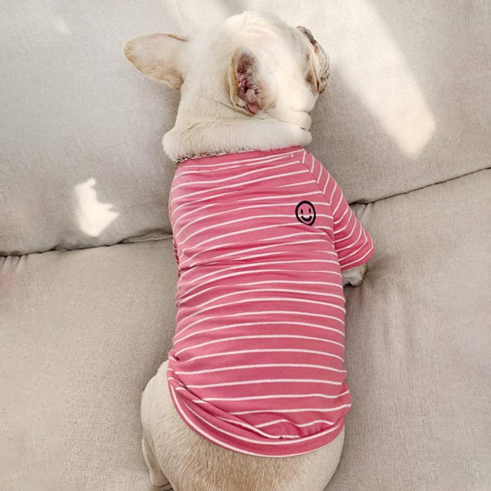 PetMundo - Matching T-Shirts voor Hond & Baasje - Gestreept