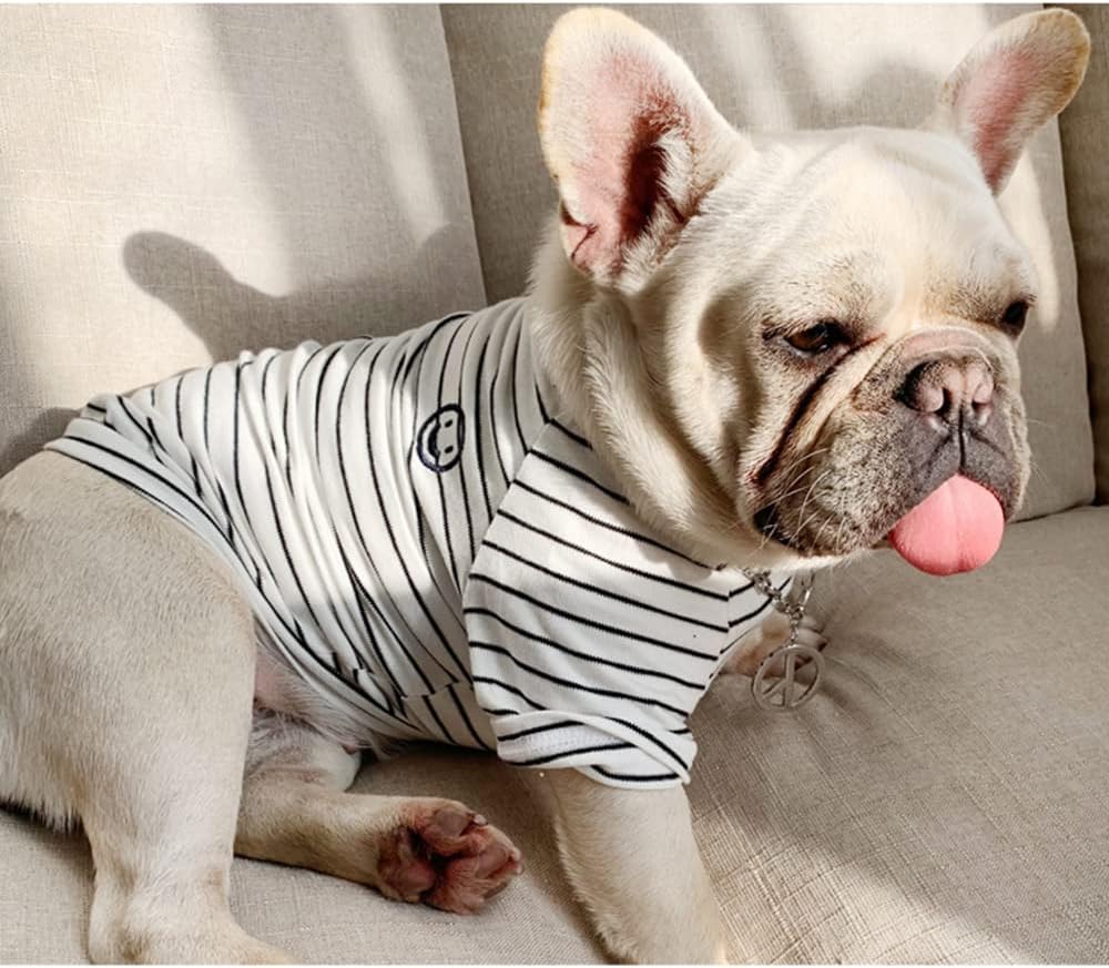 PetMundo - Matching T-Shirts voor Hond & Baasje - Gestreept