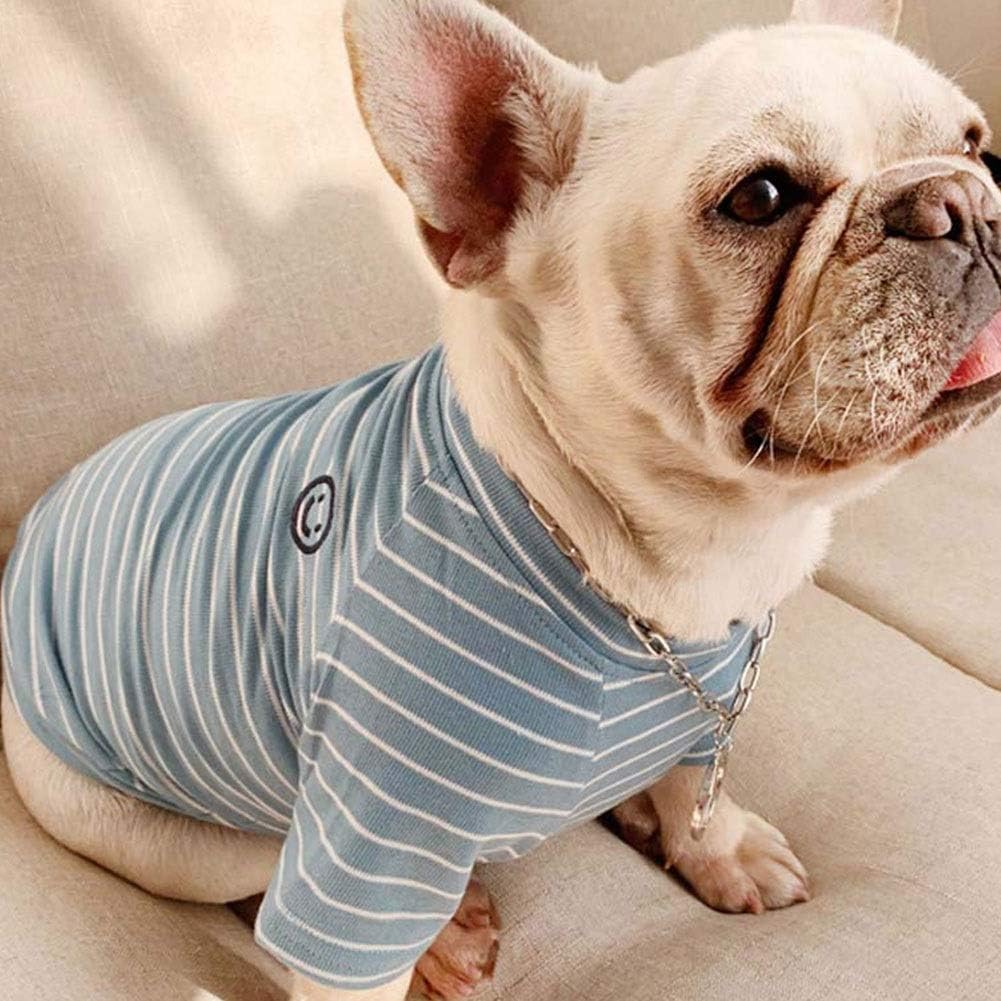 PetMundo - Matching T-Shirts voor Hond & Baasje - Gestreept