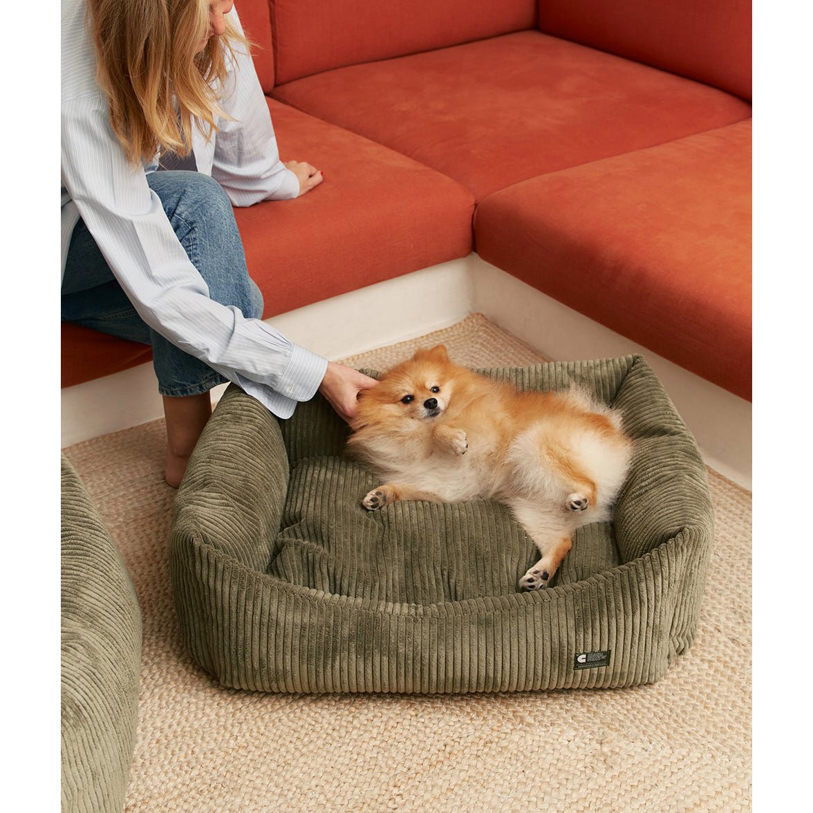 Sfeerbeeld van een kleine honden in Groene hondenmand met ribfluwelen corduroy stof van het merk cafide