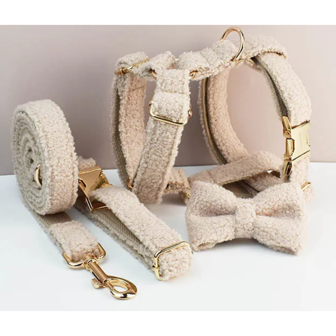 Teddy Ready - 4-Delige Set met Tuigje, Halsband, Riem en Strik - Faux White