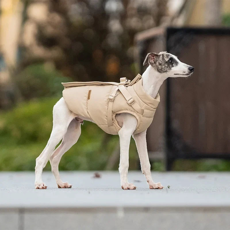 VPETBR gewatteerde hondenjas in beige met geïntegreerd tuigje op een slanke hond