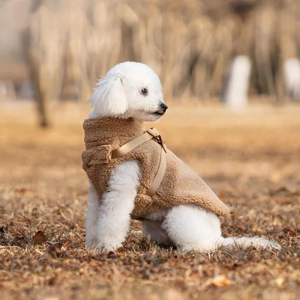Witte hond zit in de grasbuitenlucht en draagt een beige VPETBR teddy hondentrui met geïntegreerd tuigje.