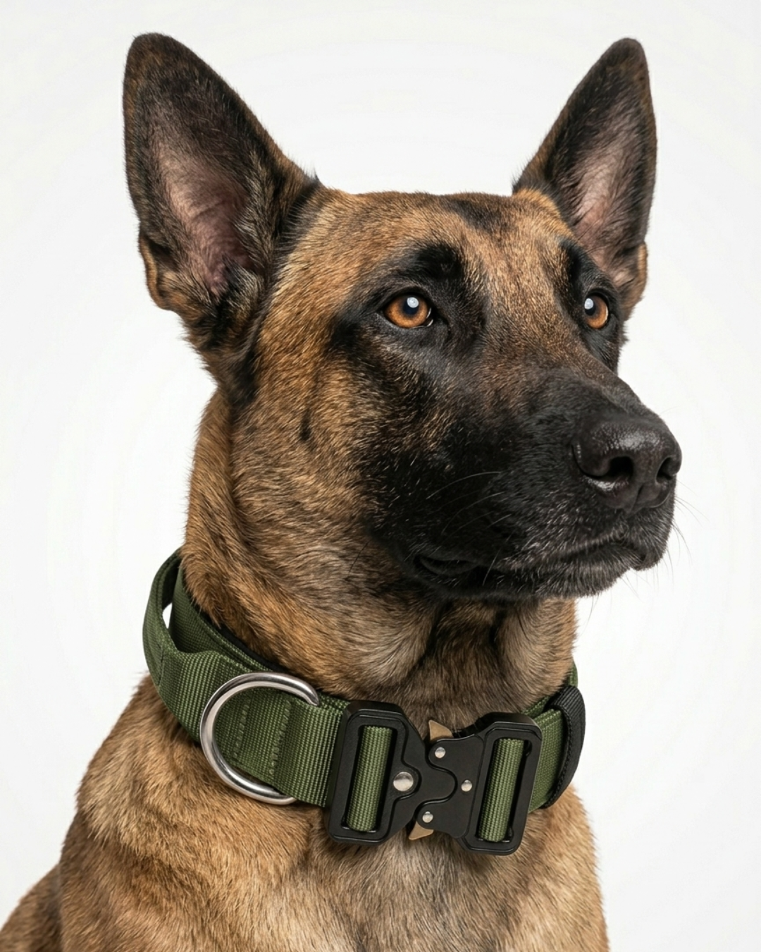 Tactical K9 Halsband