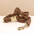 Bruine corduroy halsband set