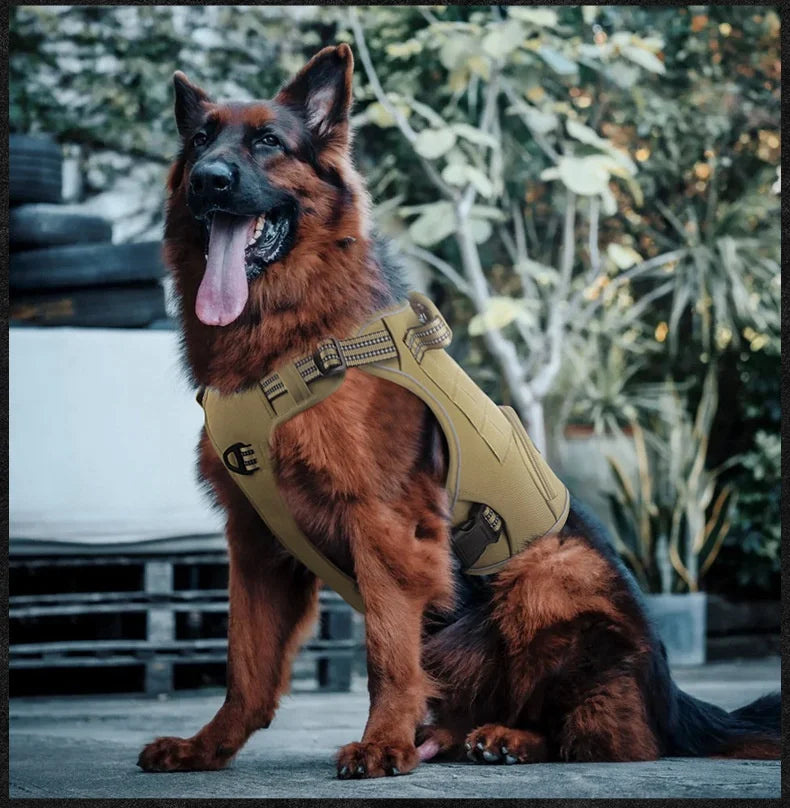 Bruin tactisch hondenharnas voor grote honden met reflecterende details en geïntegreerde poepzakjesdispenser op echte modelhond