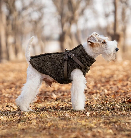Kleine witte hond staat in de grasbuitenlucht en draagt een bruine VPETBR teddy hondentrui met geïntegreerd tuigje.