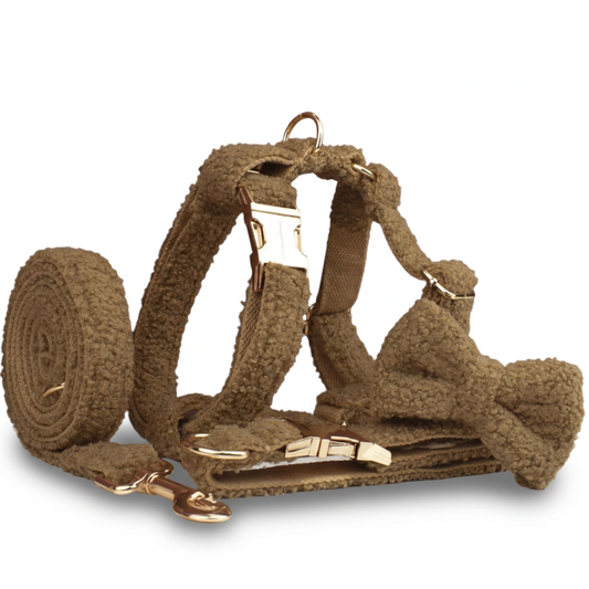 Bruine Teddy Ready Set Overzicht