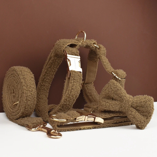 Bruine Teddy Ready Set
