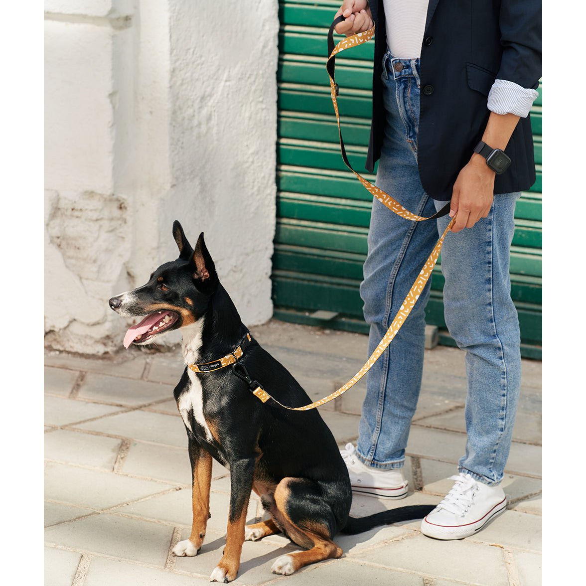Gele halsband en riem in een sfeerbeeld met hond en baasje