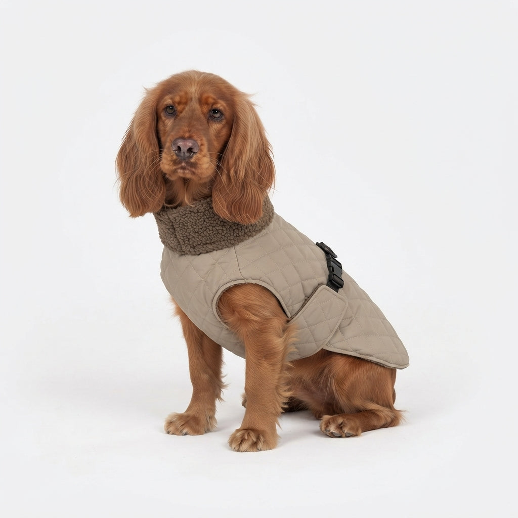 Warme breige jas met teddy fleece op cocker spaniel model