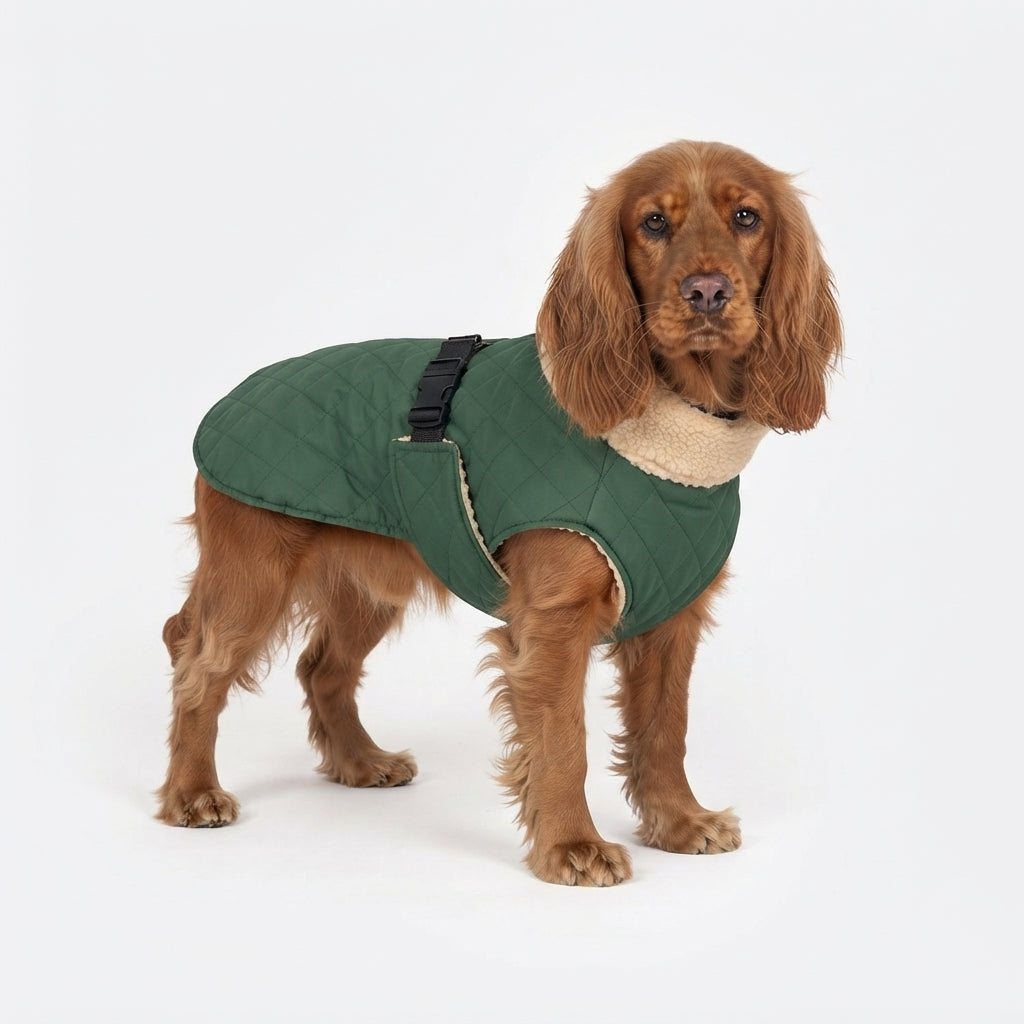 Warme groene jas met teddy fleece op cocker spaniel model