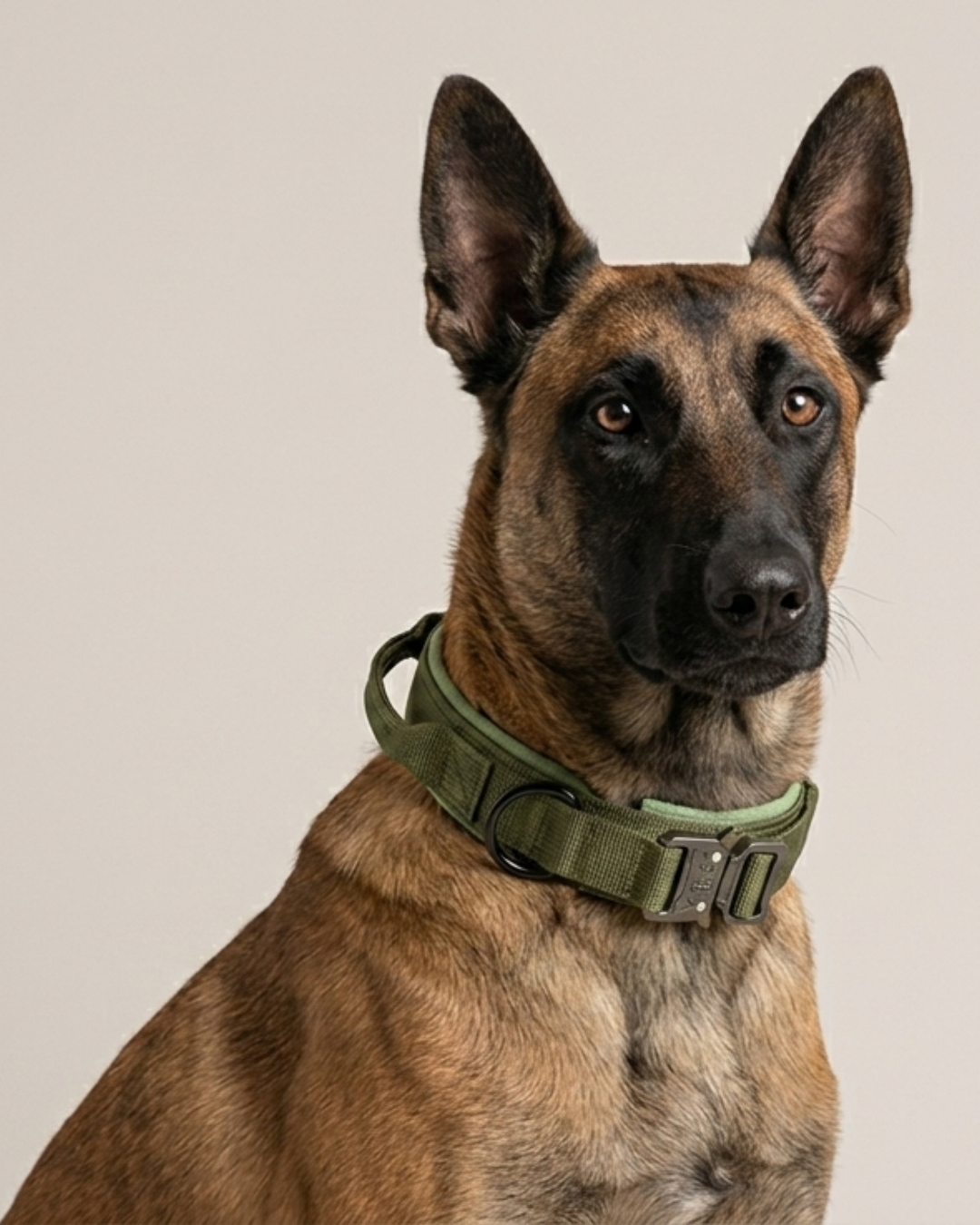 Tactical Hondenhalsband