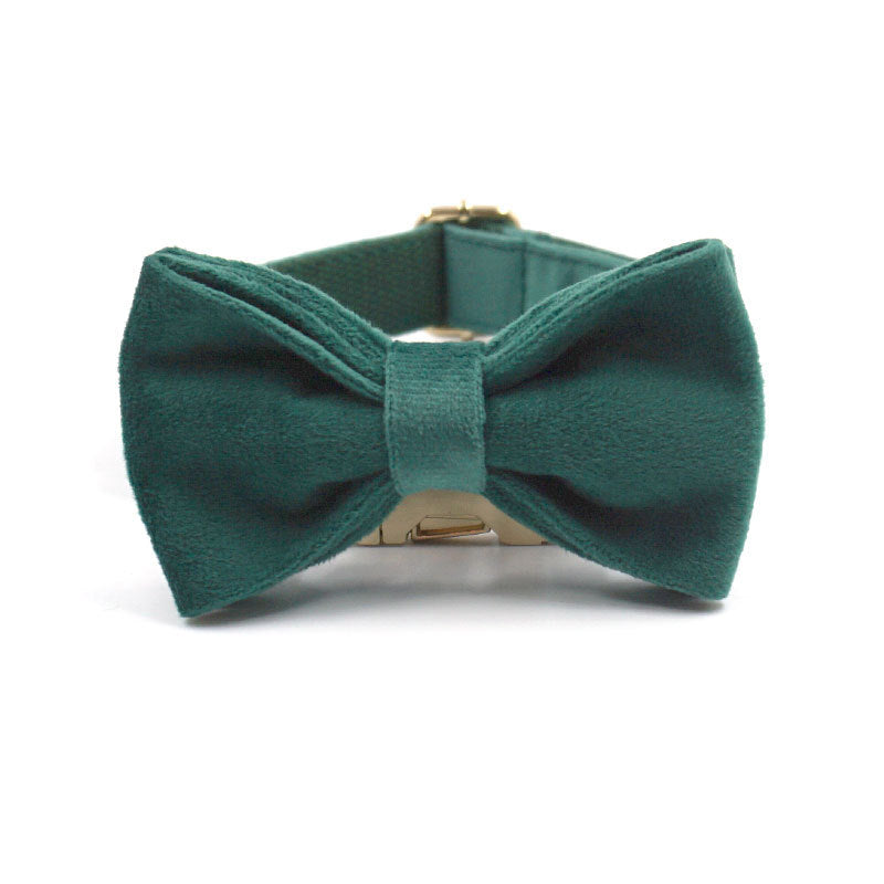 Luxe DreamPawz 3-delige hondenset in donkergroen velvet bestaande uit halsband met goudkleurige gesp en bijpassend strikje op een rustige achtergrond.