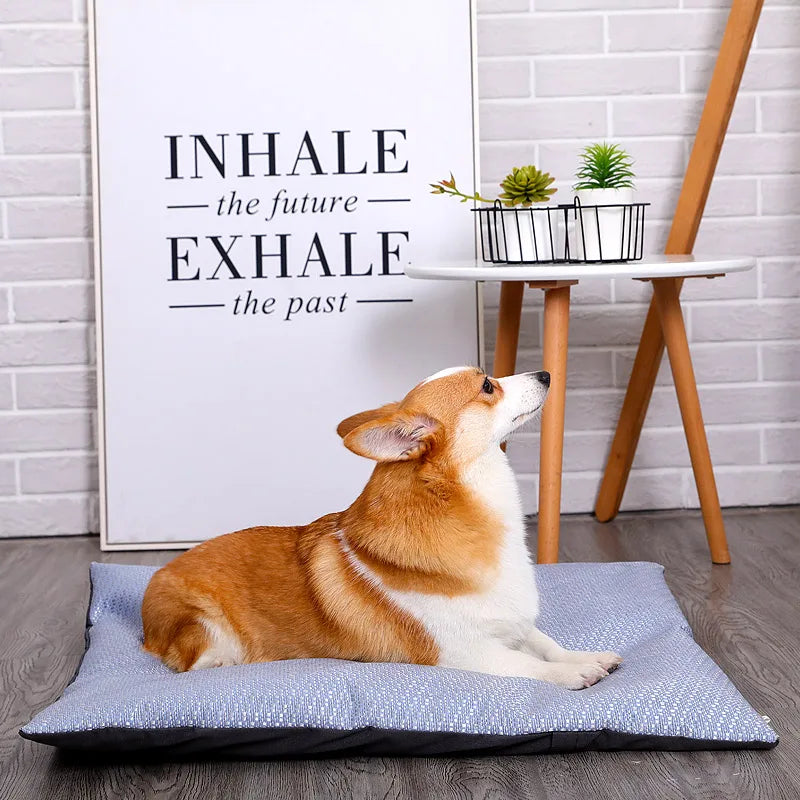 HOOPET - Koelbed Ijszijde