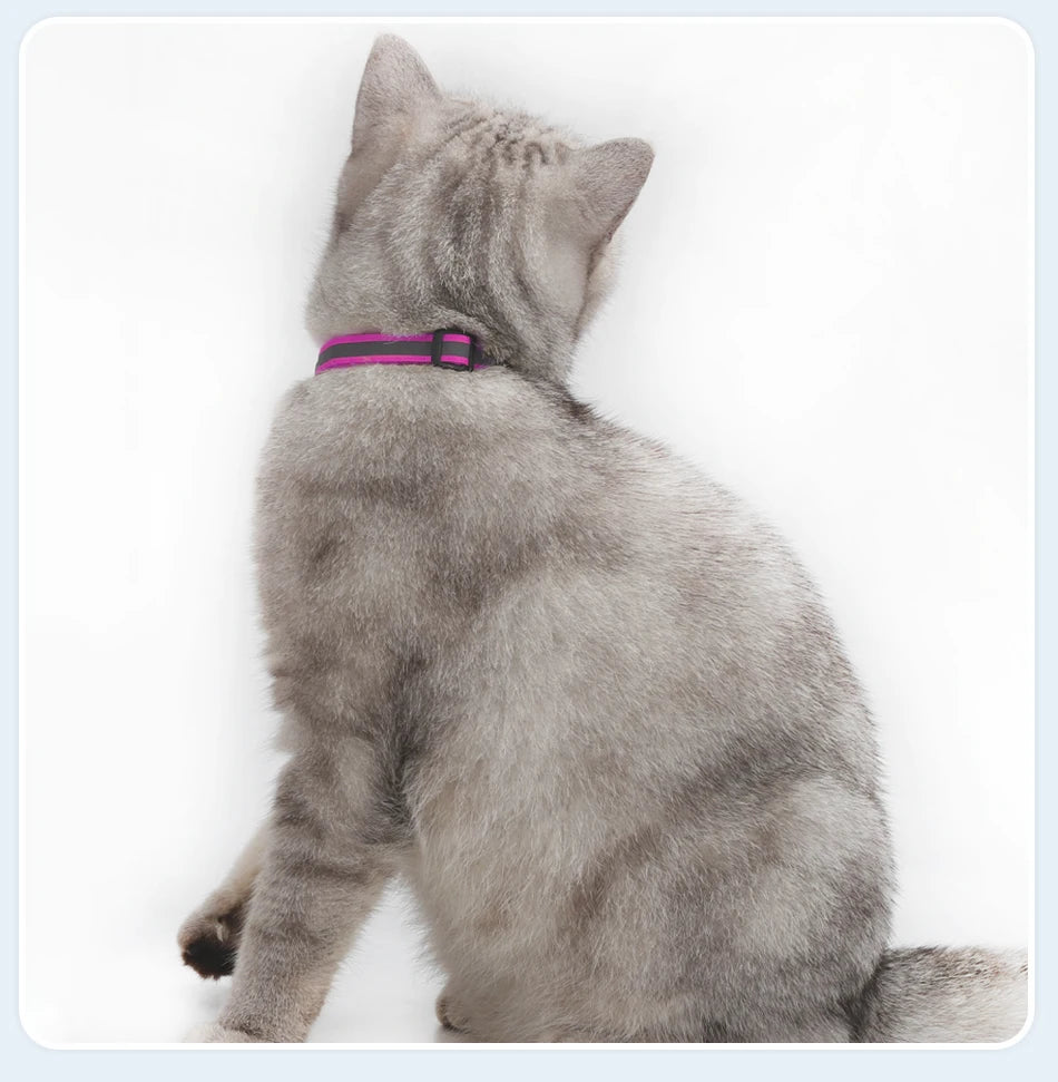 Reflecterende Kattenhalsband met Bel