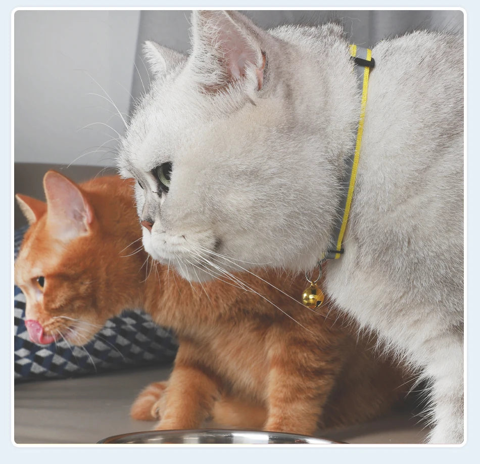 Reflecterende Kattenhalsband met Bel