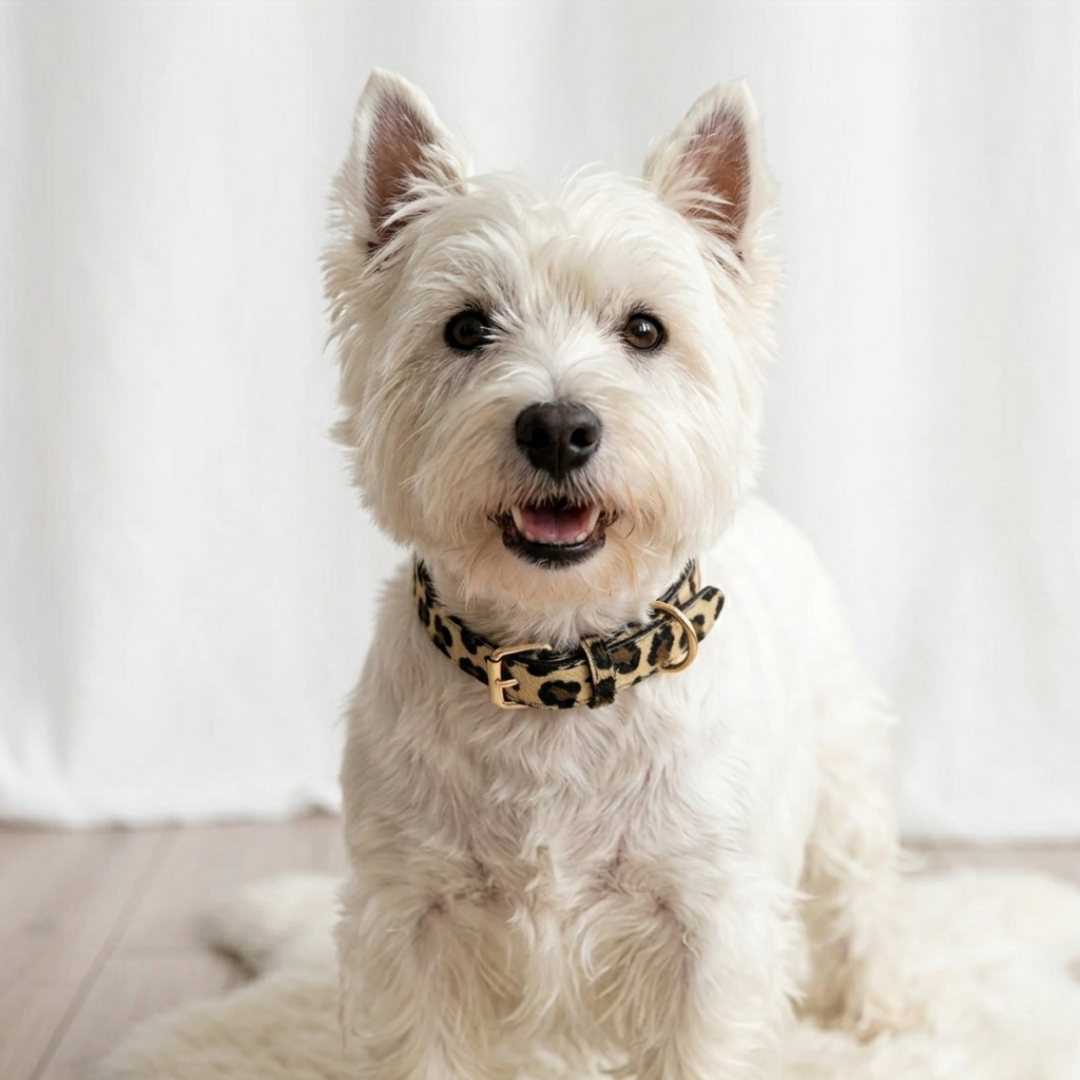 Luxe Halsband met Panterprint
