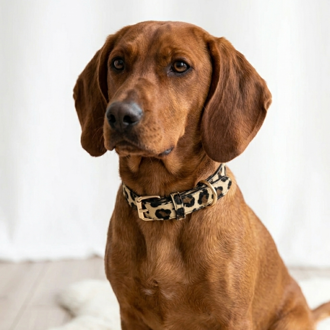 Luxe Halsband met Panterprint