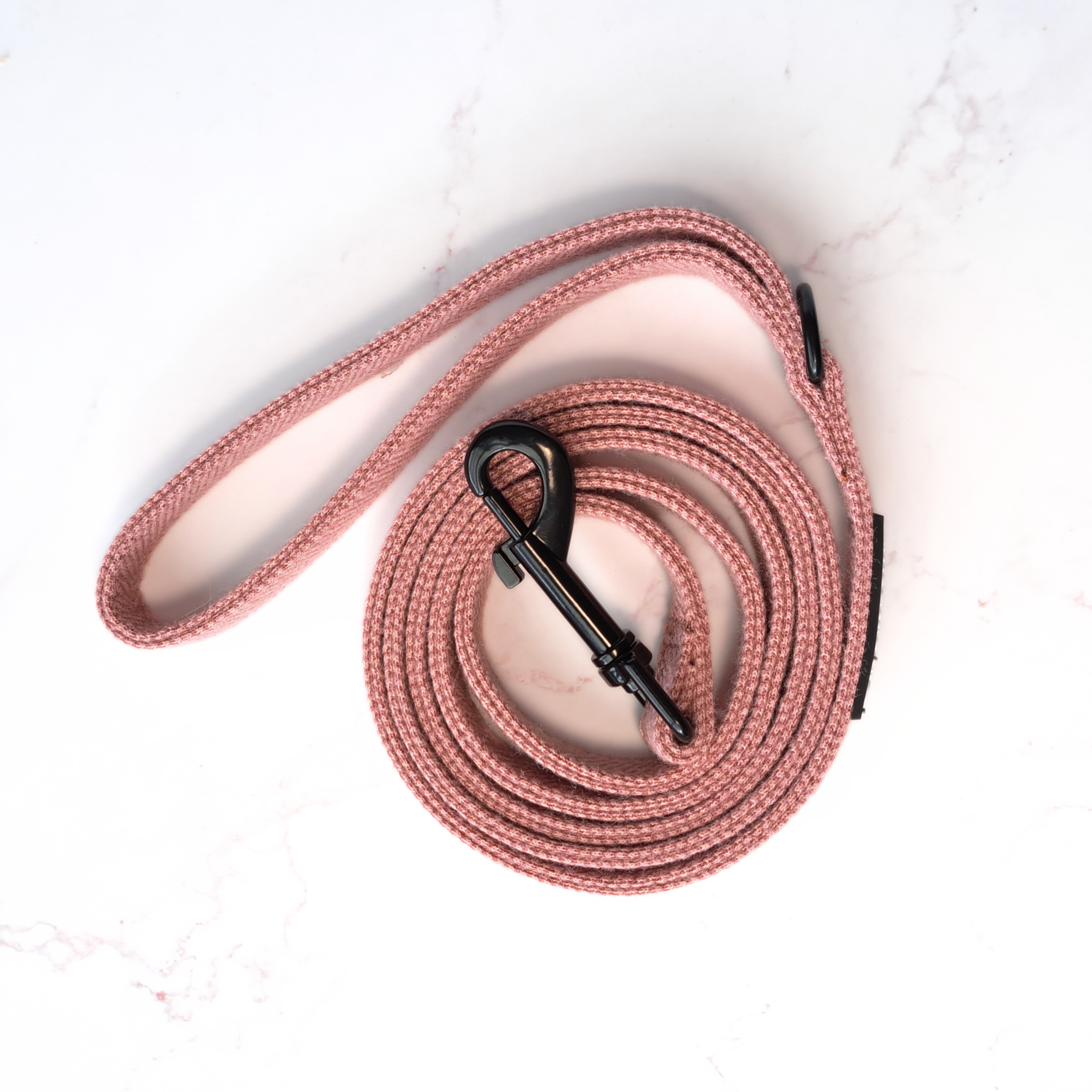 DreamPawz - Leiband - Visgraat