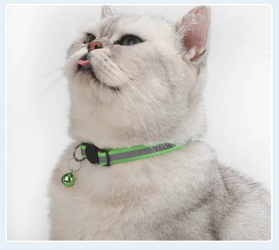 Reflecterende Kattenhalsband met Bel