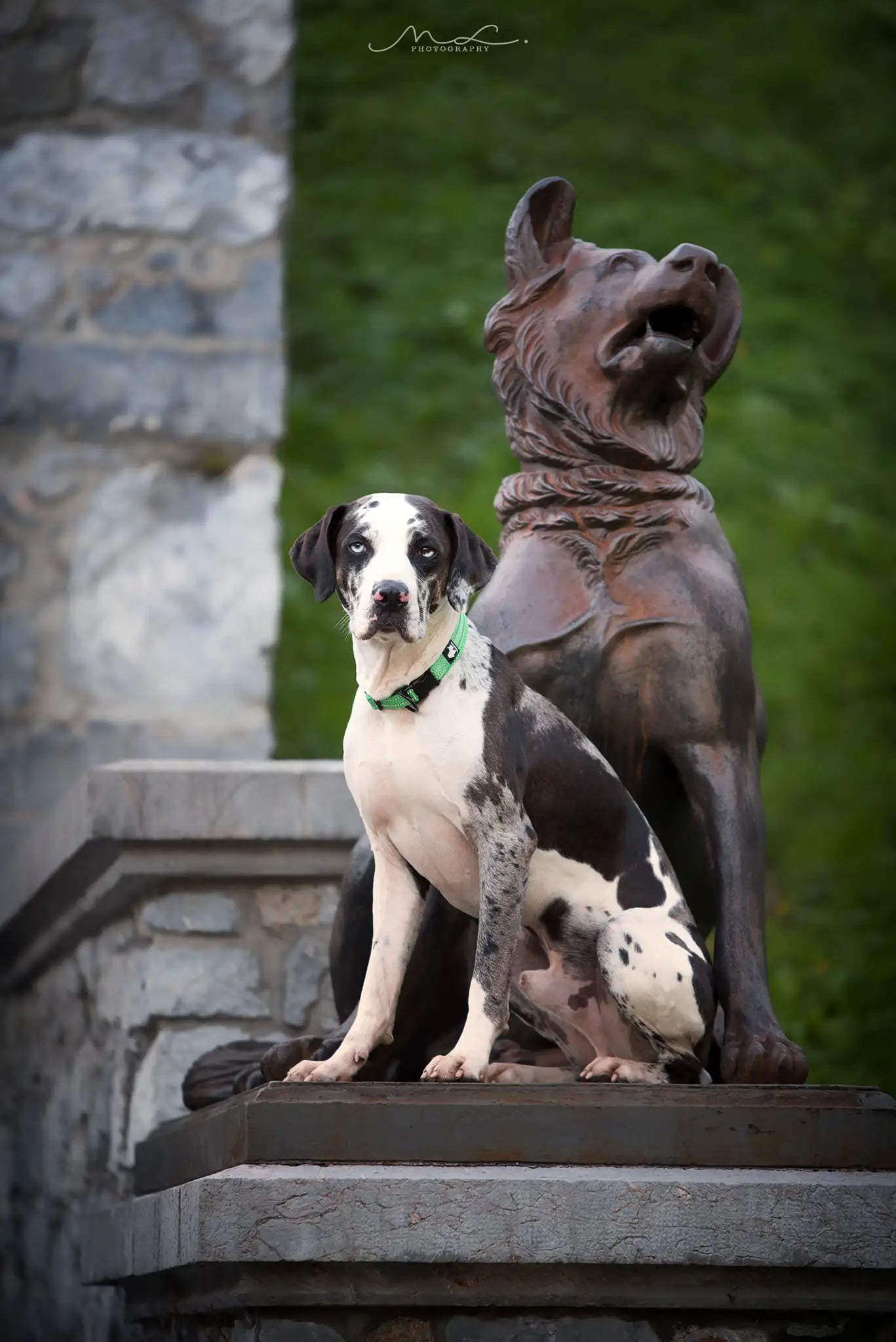 Truelove - Reflecterende Hondenhalsband