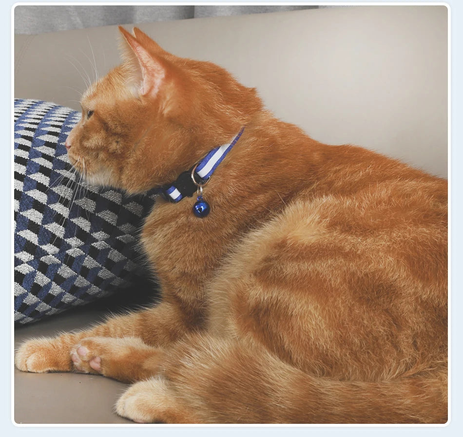 Reflecterende Kattenhalsband met Bel