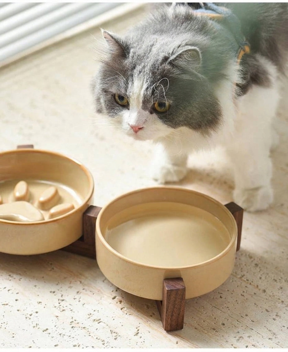 Pluizige kat nabij een ergonomische keramische voederbak met anti-schrok inzet en donker houten standaard