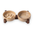 Design keramische voederbak set in warme beige tint met slowfeeder en donker acaciahouten statief