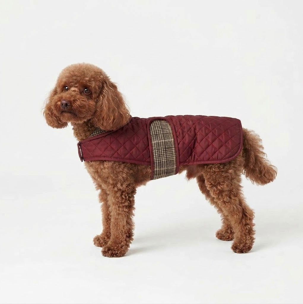 Gewatteerde Hondenjas - Burgundy Rood