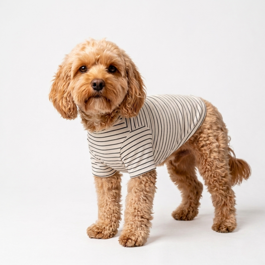Gestreepte T-Shirt Hond