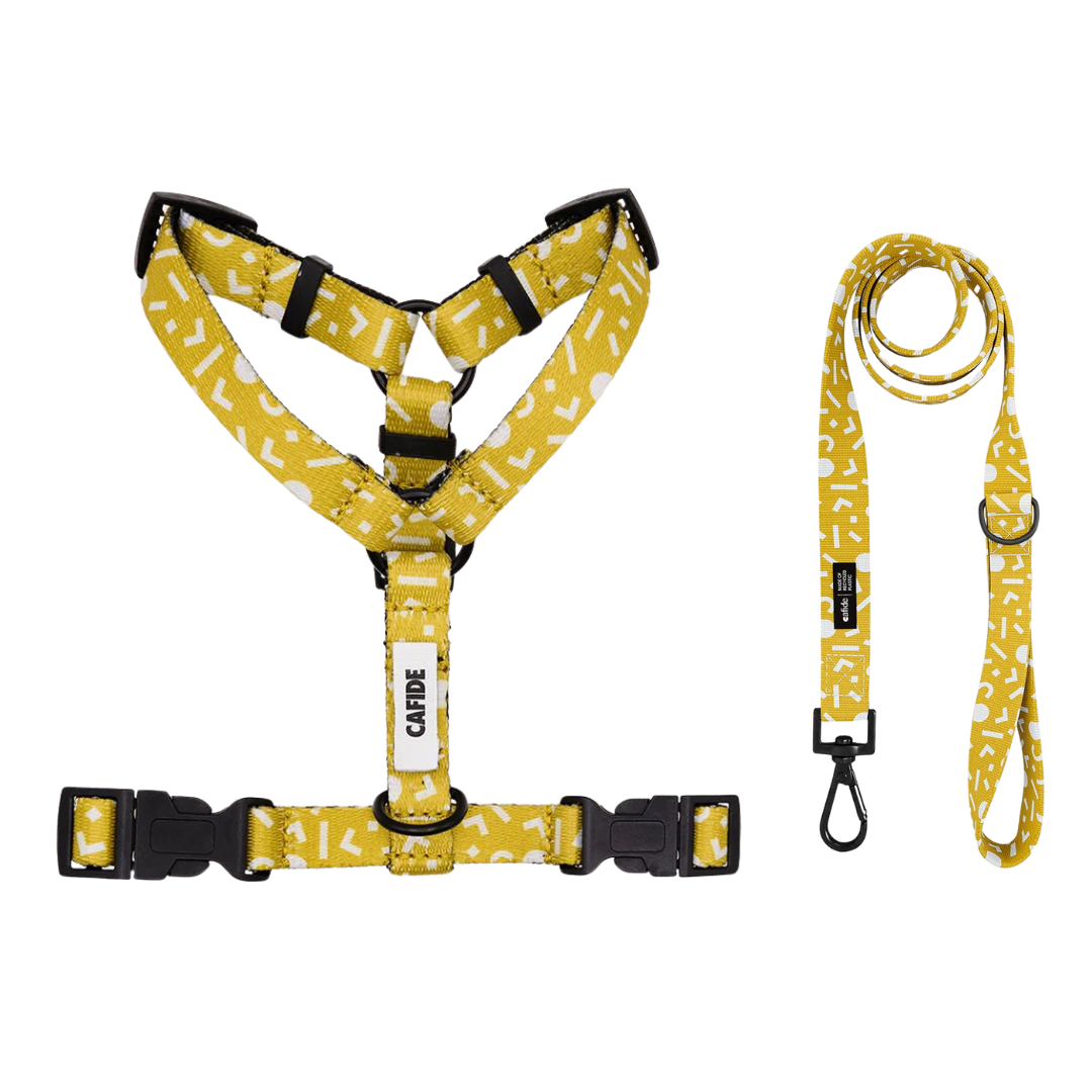 set van geel hondentuigje en riem van het merk cafide