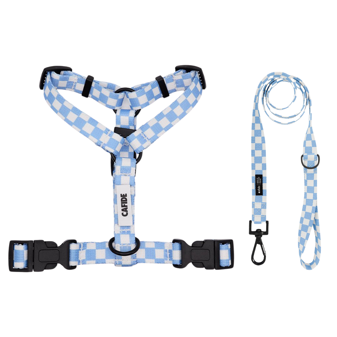 Blauw hondentuigje en riem van het merk cafide