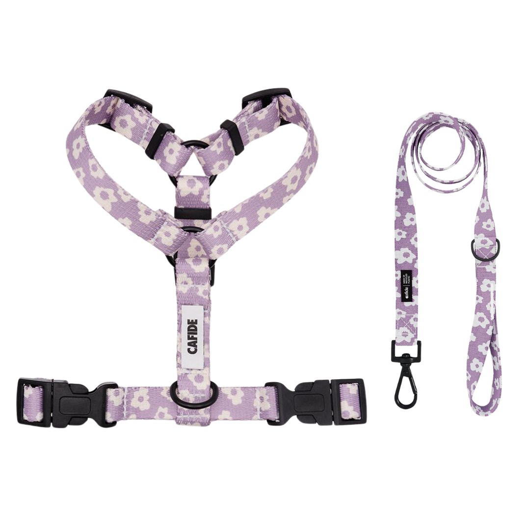 roze hondentuigje en riem met bloemenprint in set