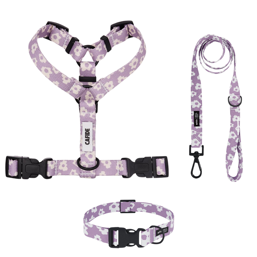 set van roze riem, roze hondentuigje en roze halsband met bloemenpatroon van het merk cafide