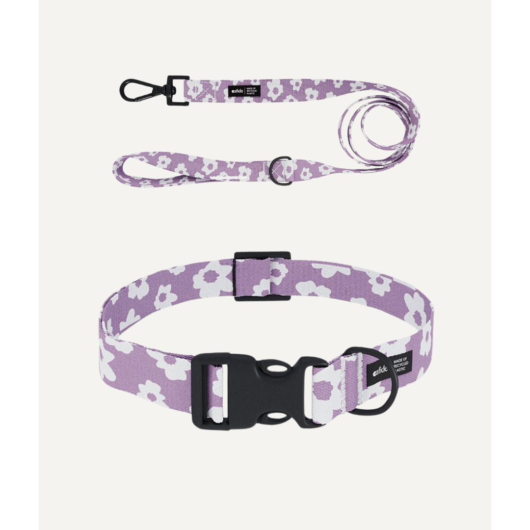 Roze Halsband en Riem met Bloemen voor honden