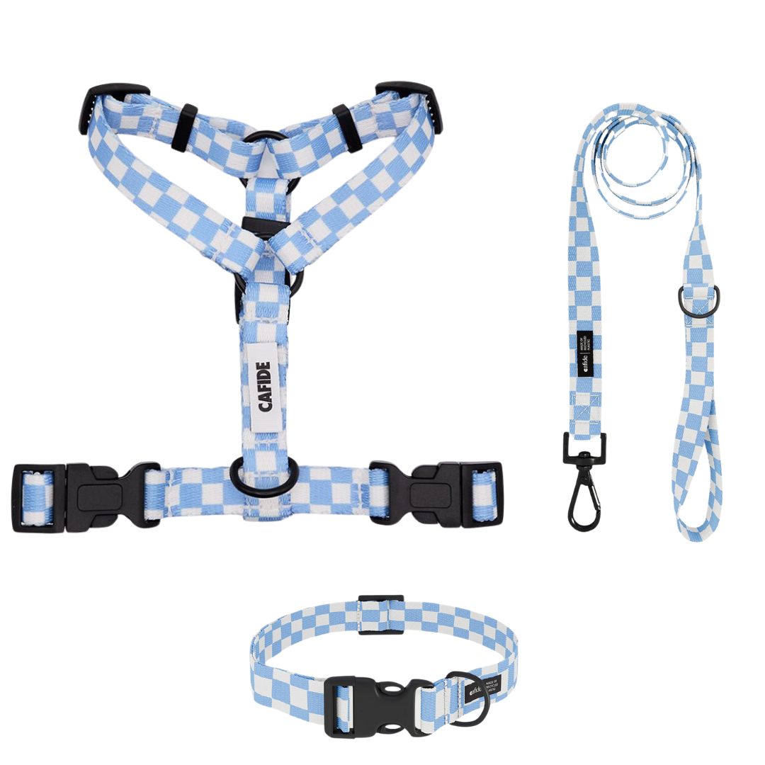 set van blauw hondentuigje, blauwe riem en blauwe halsband van het merk cafide, met patroon