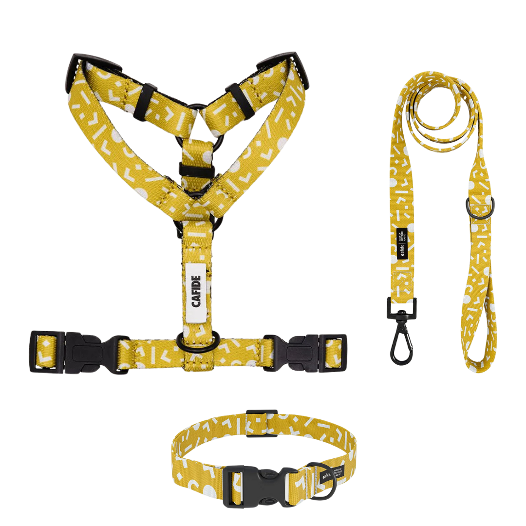 Set van geel hondentuigje, gele riem, gele halsband, allemaal van het merk cafide