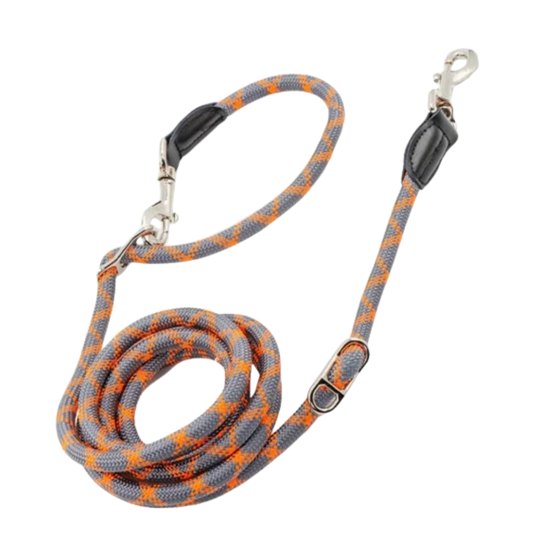 Oranje DreamPawz multifunctionele hondenriem 2,6 meter