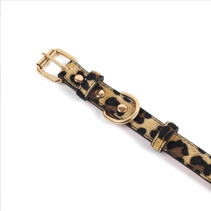 Luxe Halsband met Panterprint