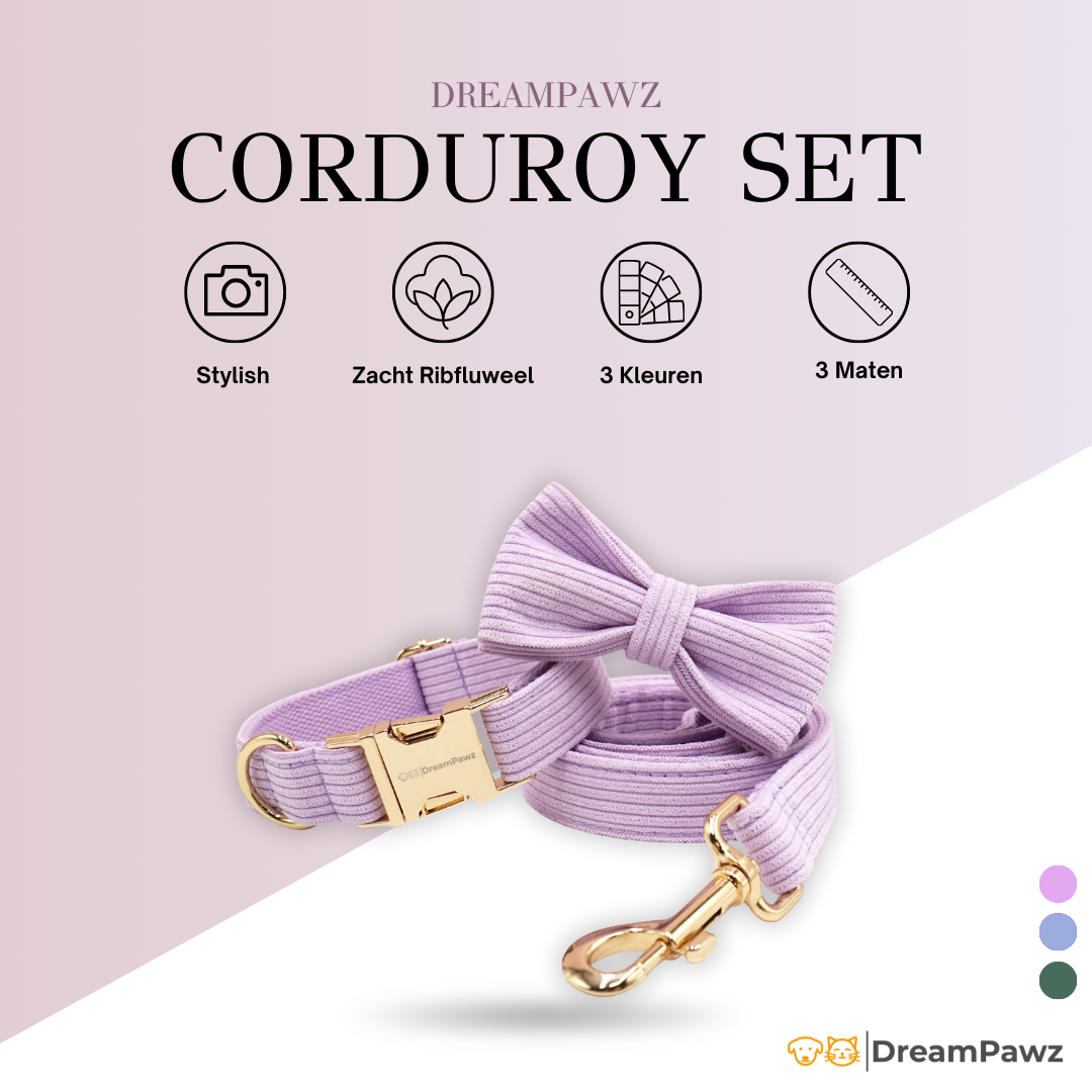 Corduroy Set met Strik, Halsband & Riem - DreamPawz
