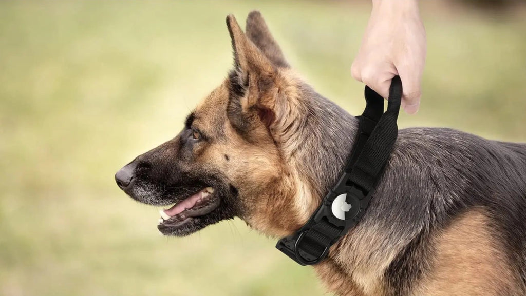 Tactical Hondenhalsband met AirTag Houder