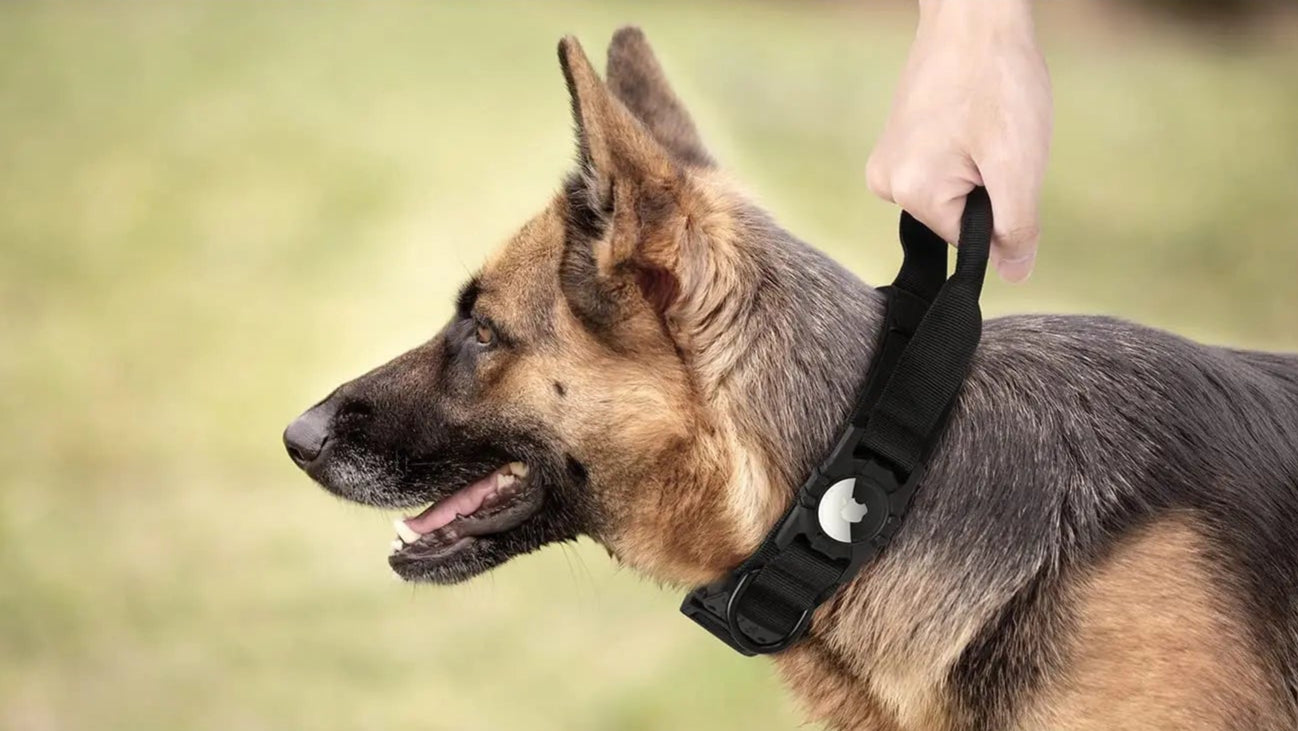 Tactical Hondenhalsband met AirTag Houder