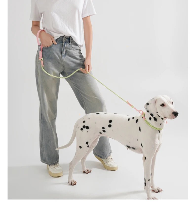 Waopet - Leiband - Sugar Sweet