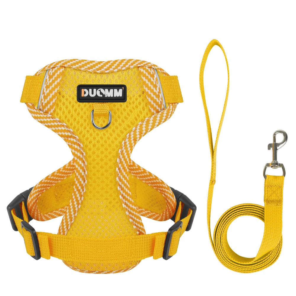 Duomm - Set Hondentuigje & Riem